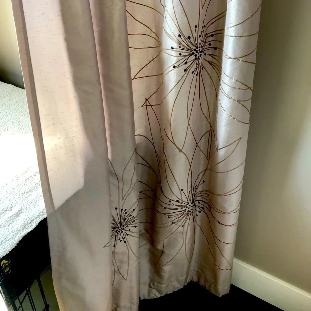 Two Curtain Panels - Picture 1 of 2